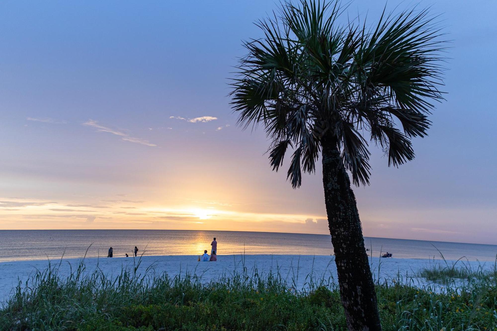 Comfy 3 Bedroom With Parking & Close To Everything North North Naples Eksteriør bilde